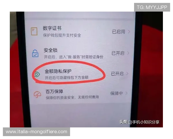 利博会员官网账户安全设置指南,提升个人账户安全防护的实用技巧 利博会员官网账户安全设置指南,提升个人账户安全防护的实用技巧