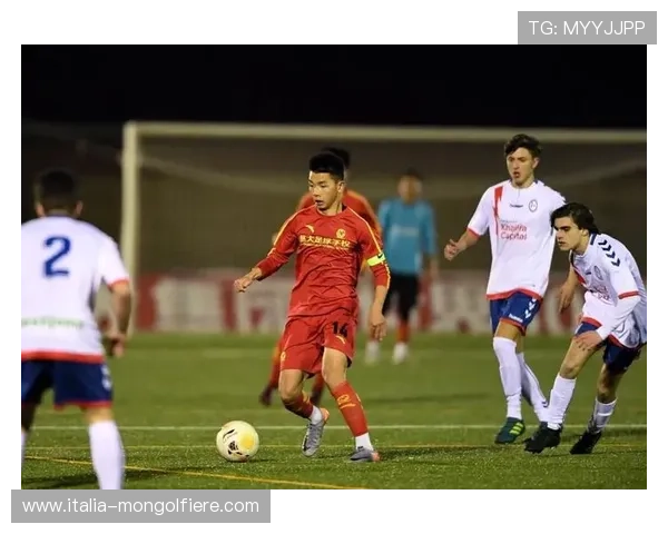 博鱼足球赛事预测与分析，精准把握每场比赛的胜负走势