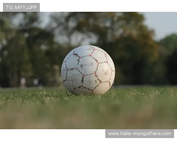 天博足球app功能介绍与使用技巧,助您轻松掌握足球比赛的每一个细节 天博足球app功能介绍与使用技巧,助您轻松掌握足球比赛的每一个细节