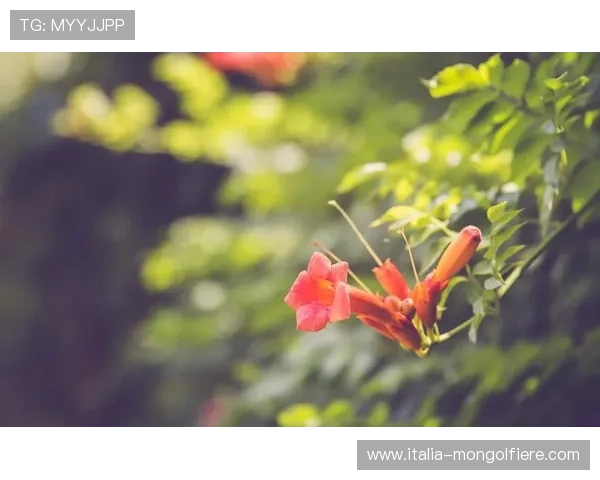 天博官方网站下载app下载，官方客户端下载流程详解及注意事项介绍